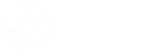 Real School